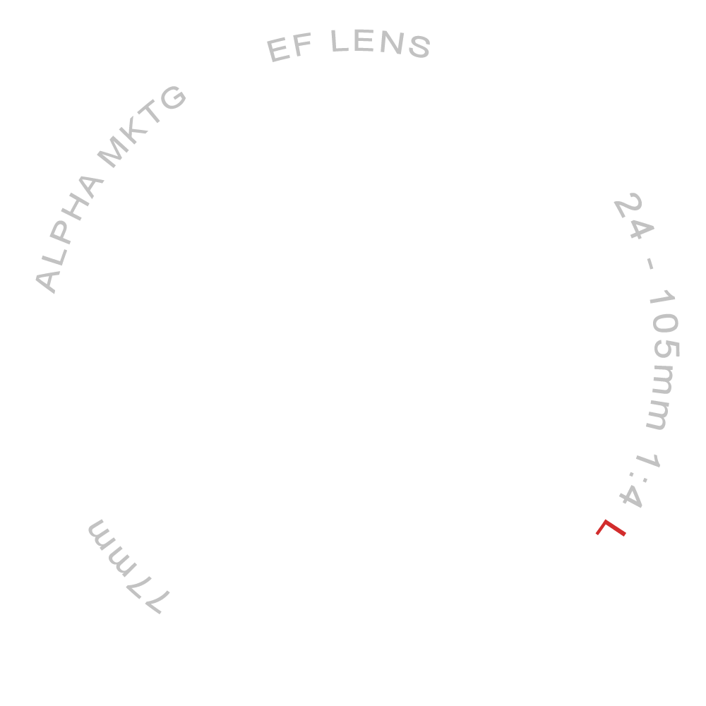 Label scroll effect Servizi Fotografici alphamarketing.it